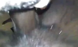 reine ébène fucks af ...